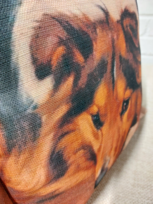 Boarder collie Cushion Cover – Dog Portrait Pillow (pad sold separately) 40x40cm 16"