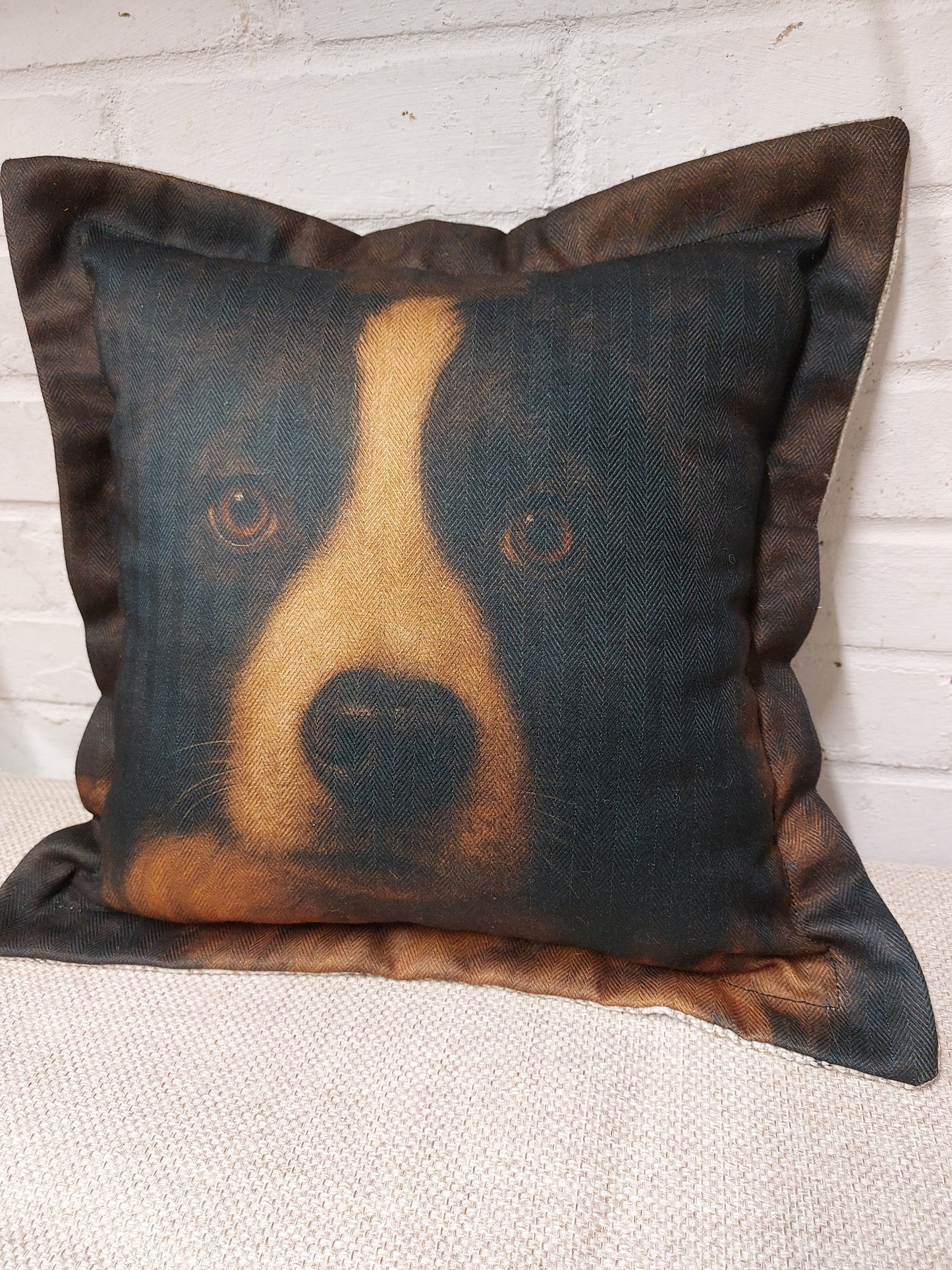 Collie Cushion Cover – Dog Portrait Pillow (pad sold separately) 43x43cm 17"
