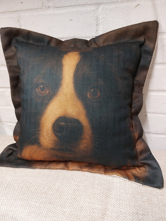 Collie Cushion Cover – Dog Portrait Pillow (pad sold separately) 43x43cm 17"