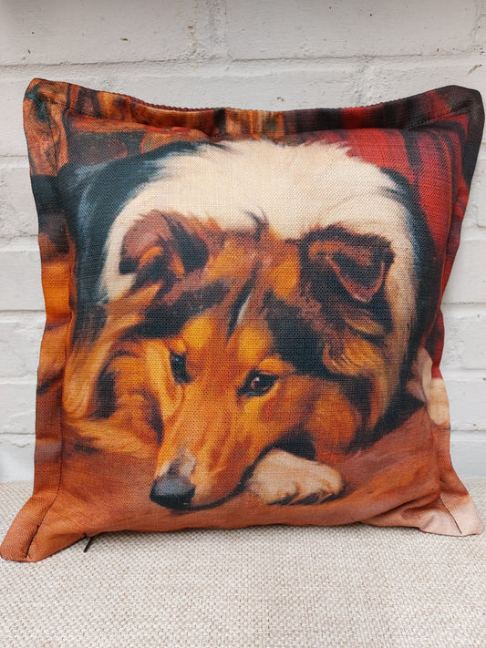 Boarder collie Cushion Cover – Dog Portrait Pillow (pad sold separately) 40x40cm 16"