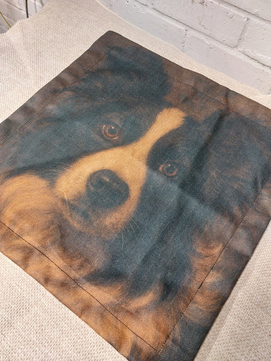 Collie Cushion Cover – Dog Portrait Pillow (pad sold separately) 43x43cm 17"
